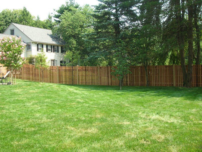 Backyard lawn with wooden fence, dense trees, and a house in the background
