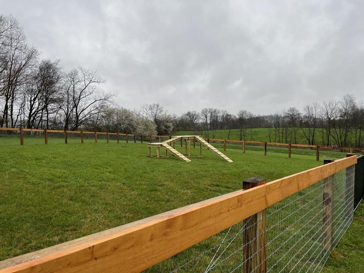 Grassy field with wooden agility obstacles, fenced foreground, and overcast sky