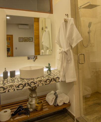 Un baño con lavabo, espejo, ducha. y elegantes amenidades.