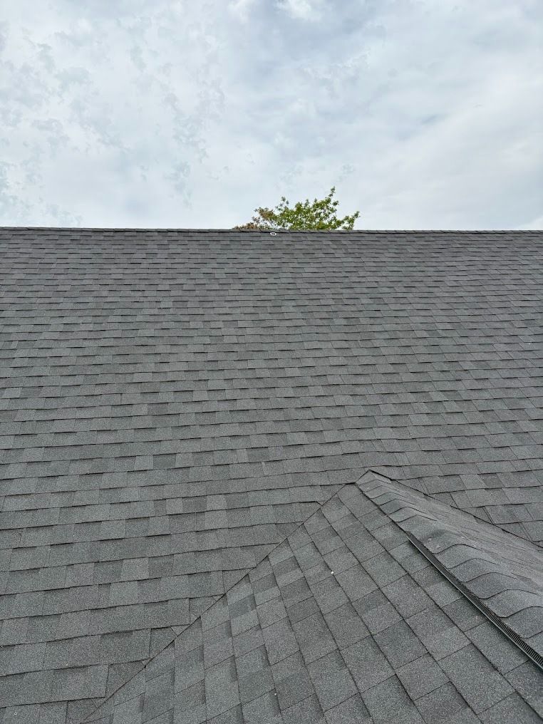 Gray shingled rooftop under a cloudy sky, with a tree peeking over the ridge.