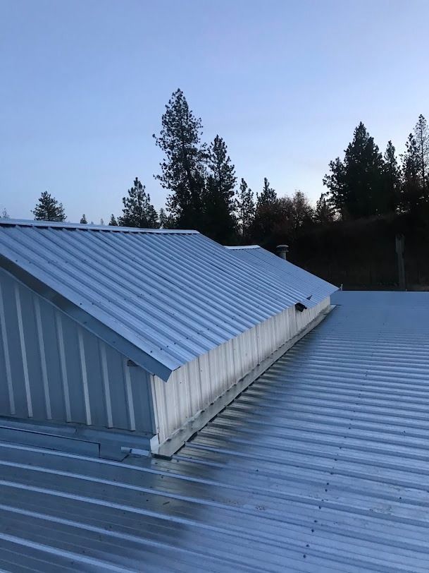 Blue metal roof with a raised skylight or vent against a tree-lined sky at dusk
