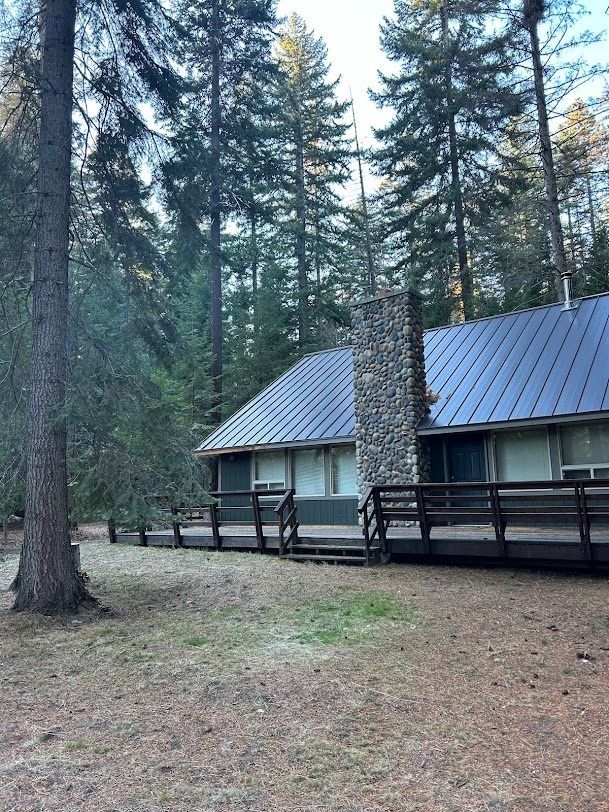 Cabin with metal roof and stone chimney in a pine forest clearing