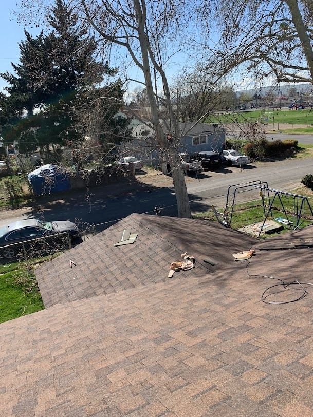 View from a shingled rooftop toward a driveway, trees, and parked cars on a sunny day