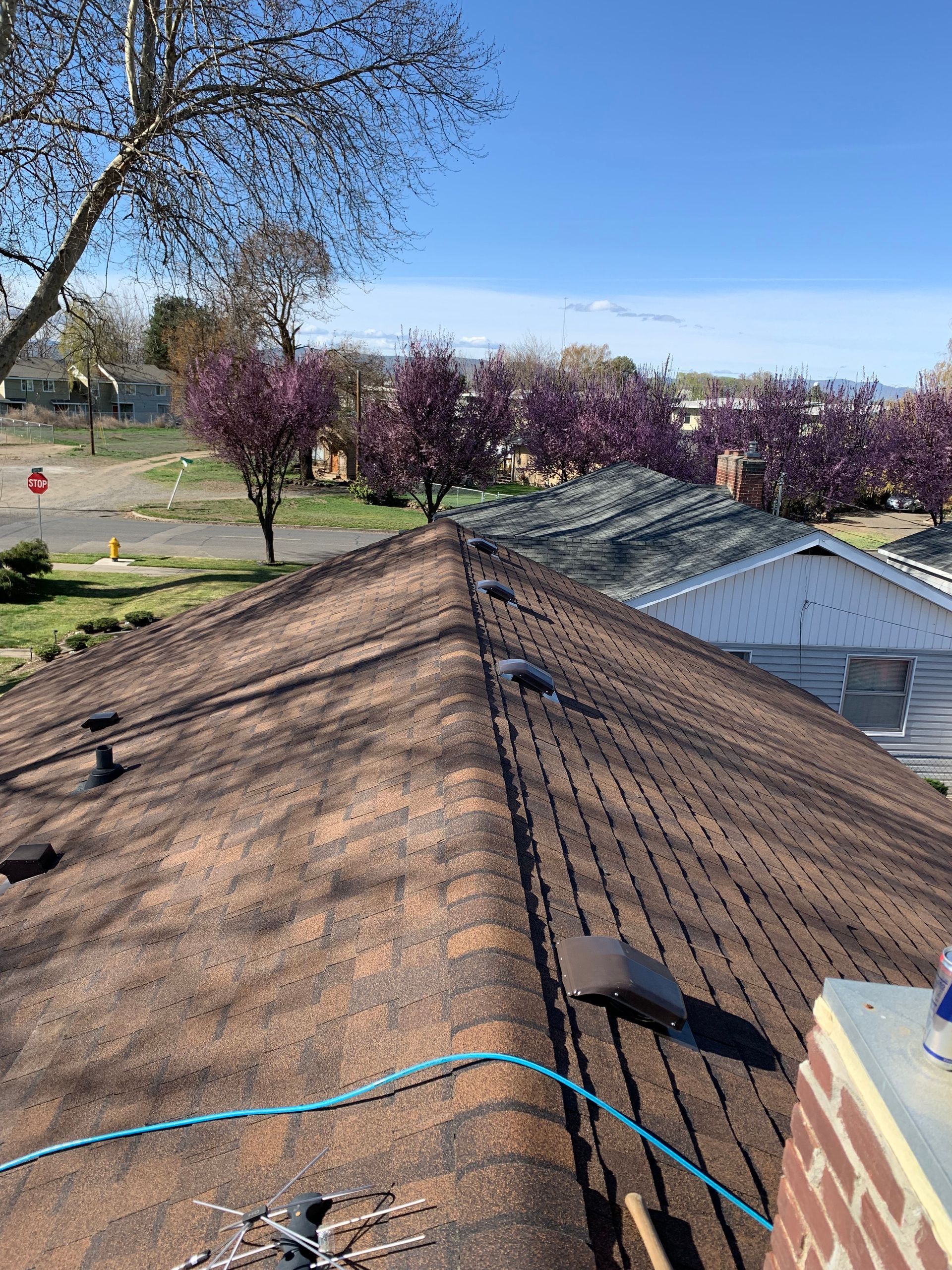 View from a shingled rooftop over a yard with trees, purple shrubs, and neighboring houses