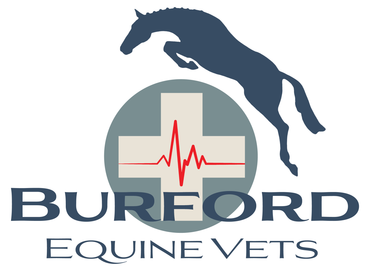 Burford Equine Vets Logo