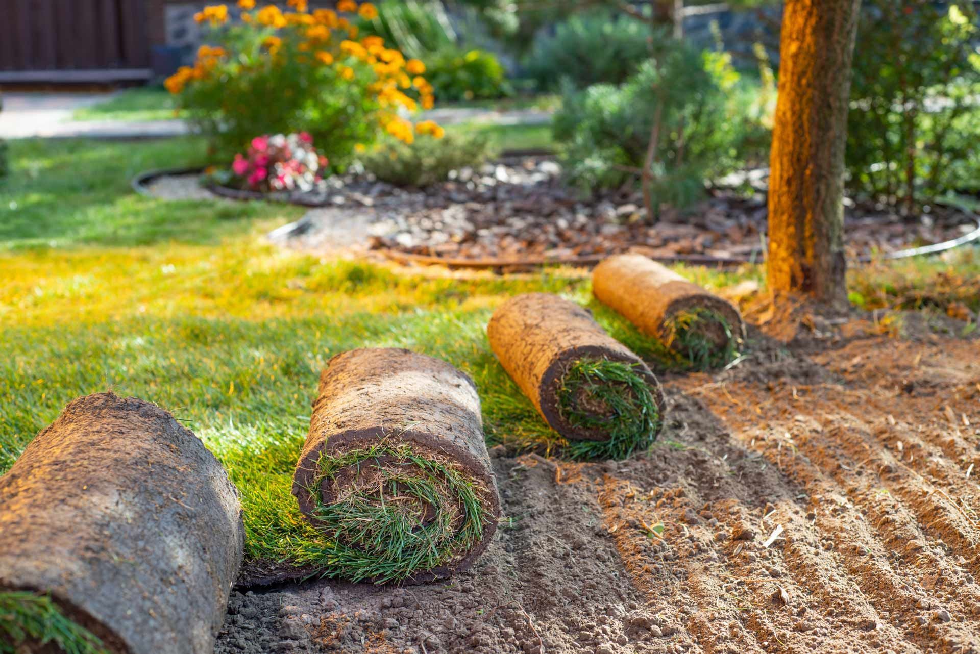 Three rolls of turf are sitting on top of a pile of dirt in a garden