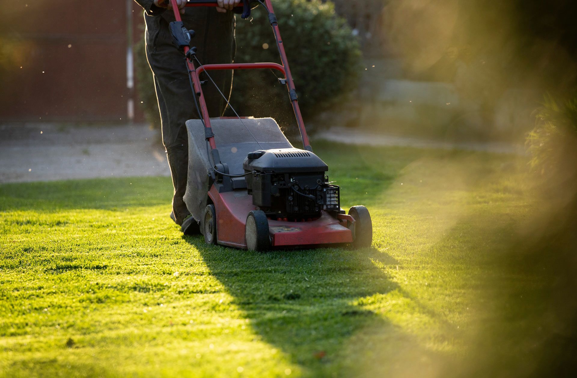 A man is mowing a lush green lawn with a lawn mower