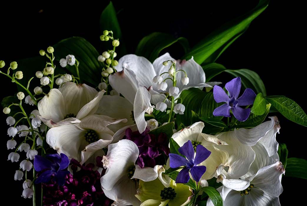 Send Flowers