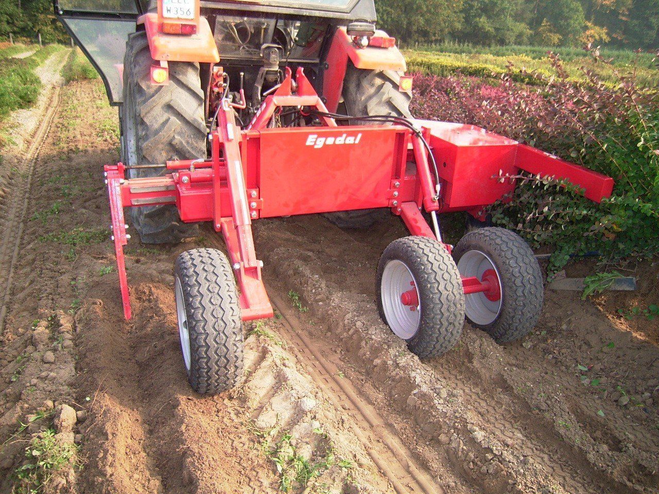 Red tractor with attached harvesting machine working in a vineyard.