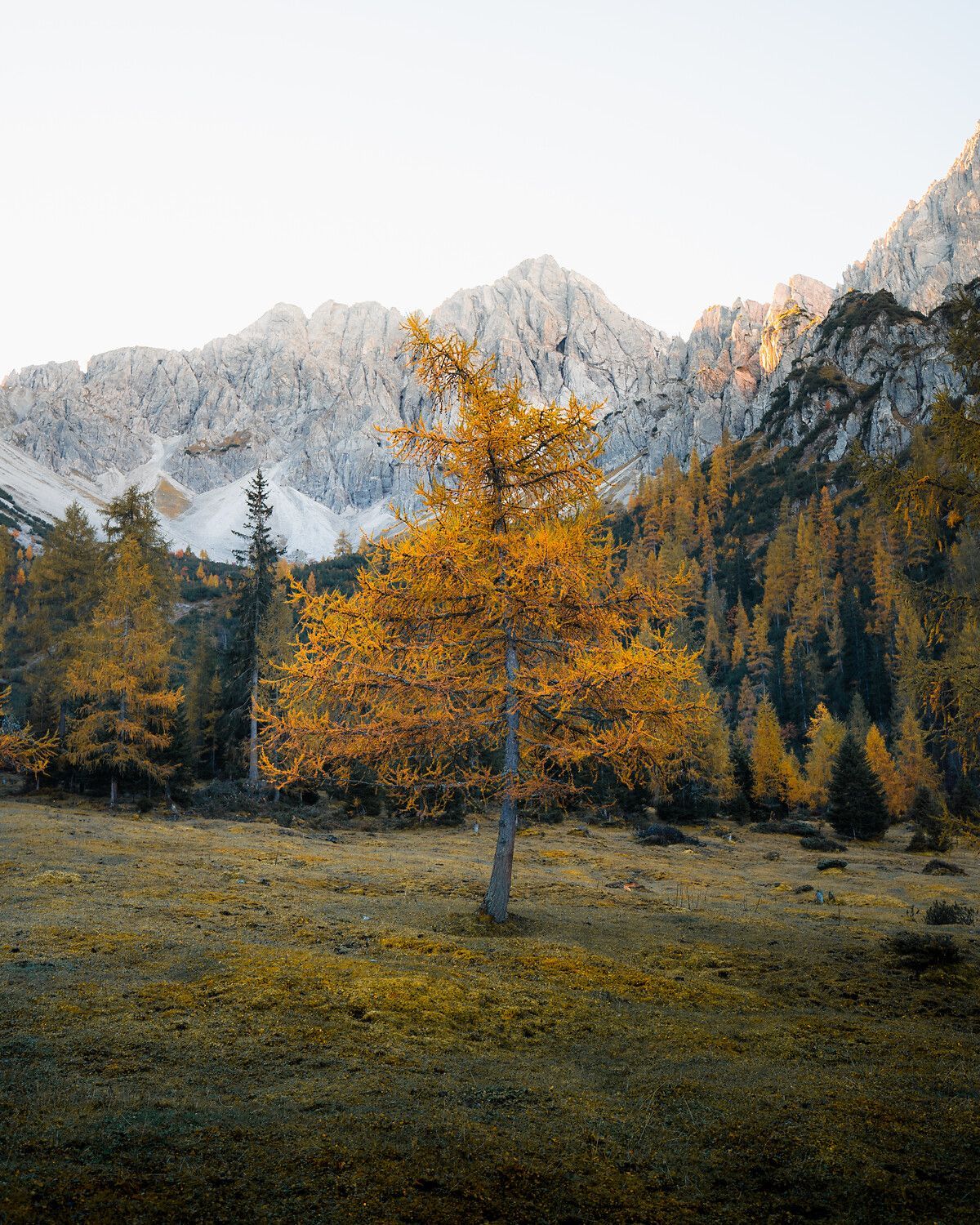 herfst in oostenrijk