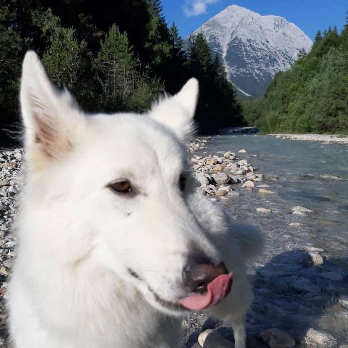 luna beim leutasch ache