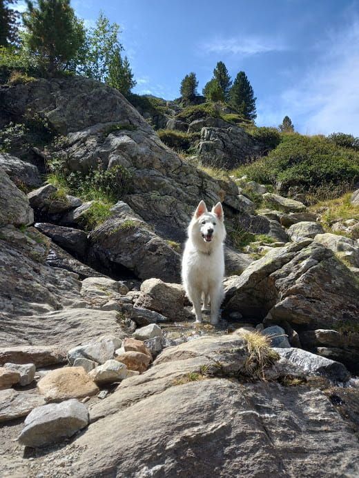 wanderung mit Luna