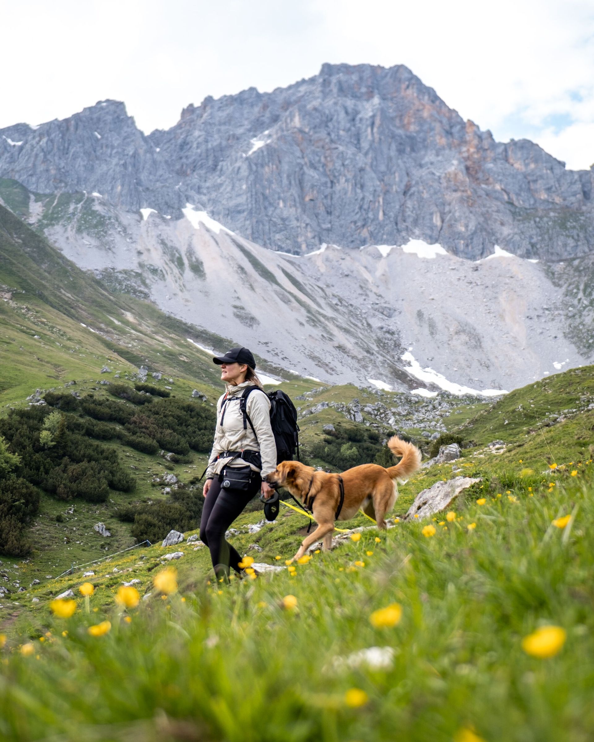 wandelen met een hond in oostenrijk