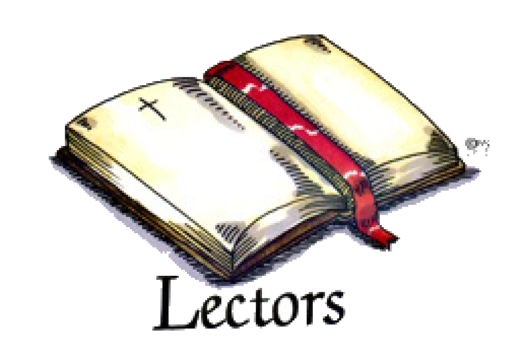 lector po6l3ptz1etb5x9tf3m6nmlo2jl.png