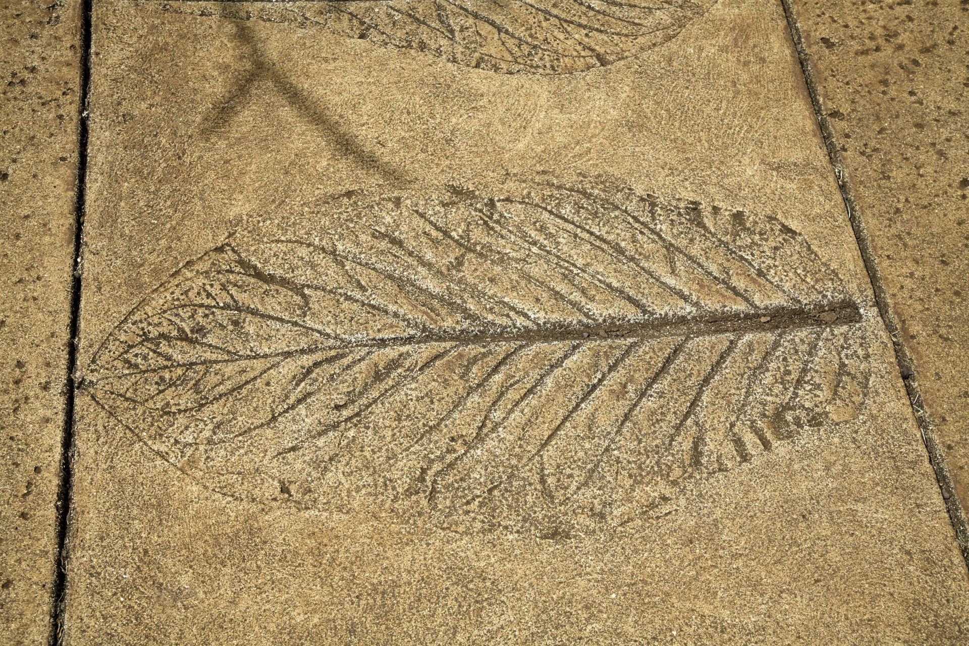 Decorative Stamped Concrete Decorative Stamped Concrete