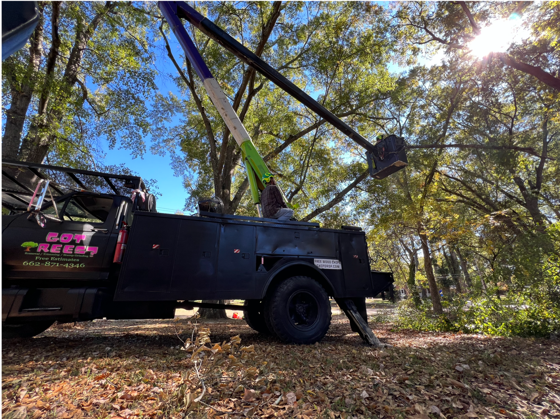 Tree Service in Tupelo, MS