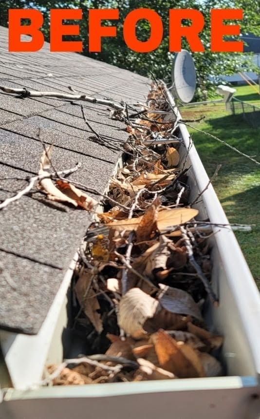Clogged gutter filled with leaves and debris on a shingled roof, labeled “BEFORE”