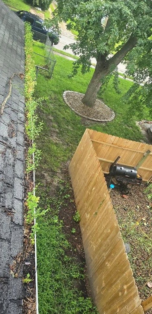A rainy yard with a tree, green grass, and a wooden fence beside a stone walkway.