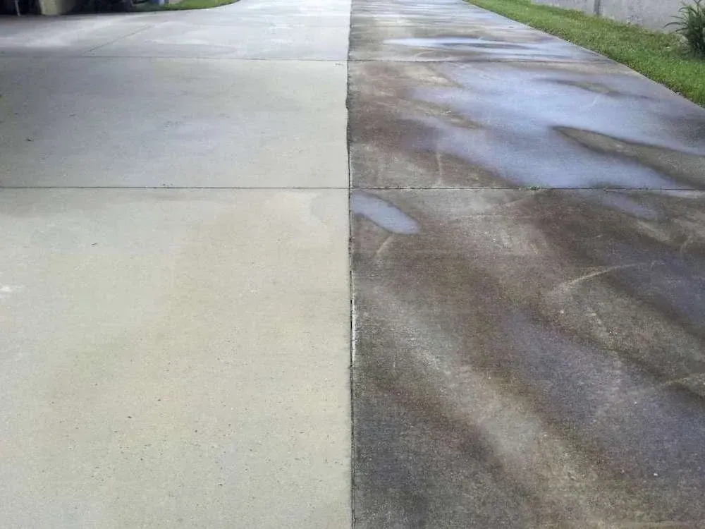 Wet driveway with a dry concrete strip and shadows from trees on the right side