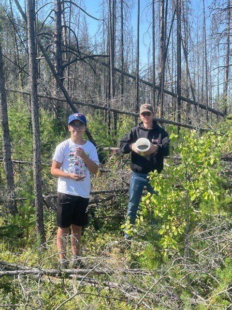 Two people in a forest with dead trees. One holds a bowl. Sunny day.