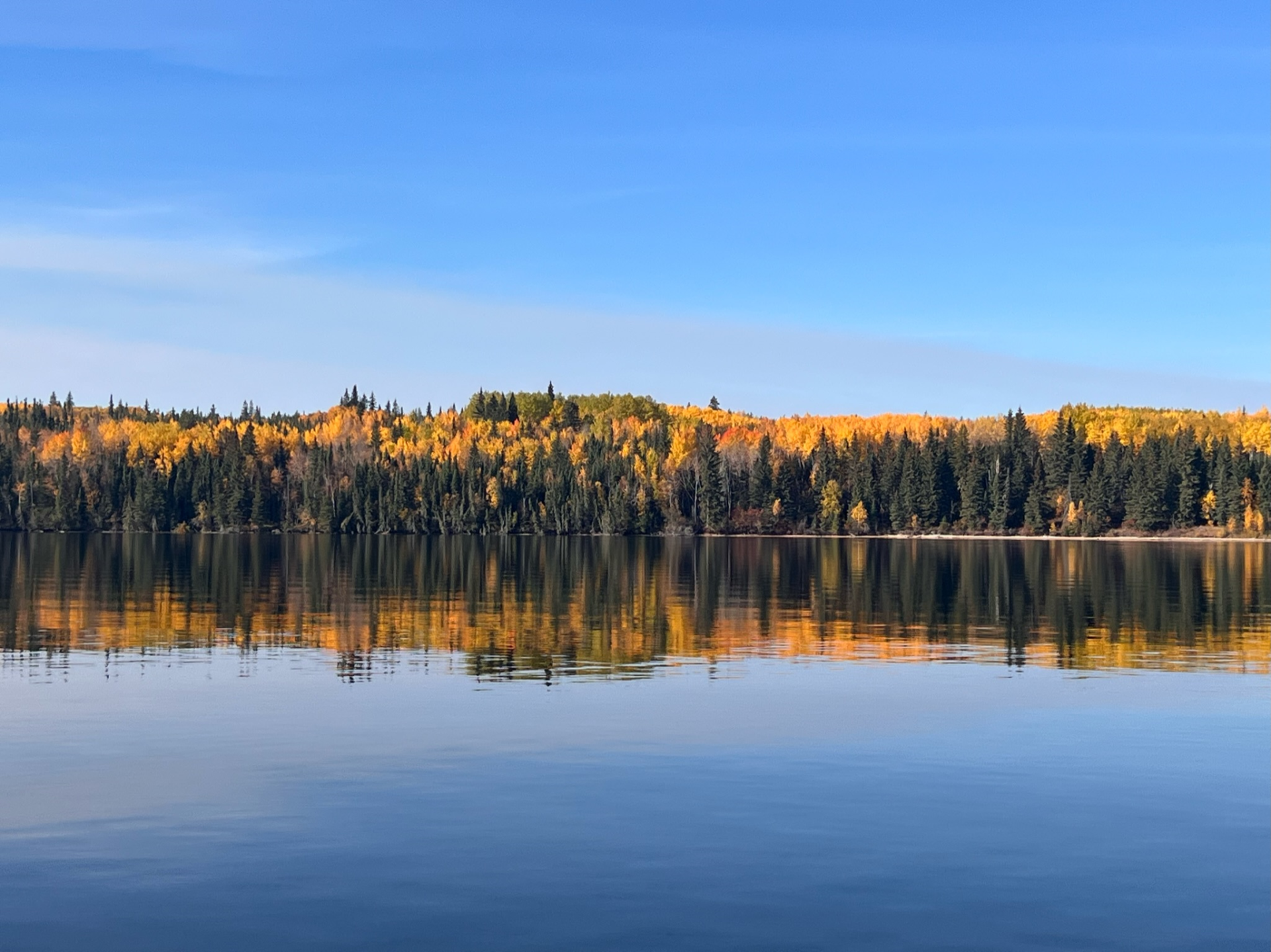 Calm lake reflects vibrant fall foliage and blue sky.