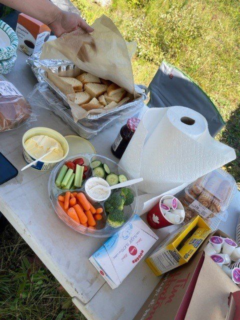 Picnic table with food: veggies and dip, bread, pastries, paper towels.