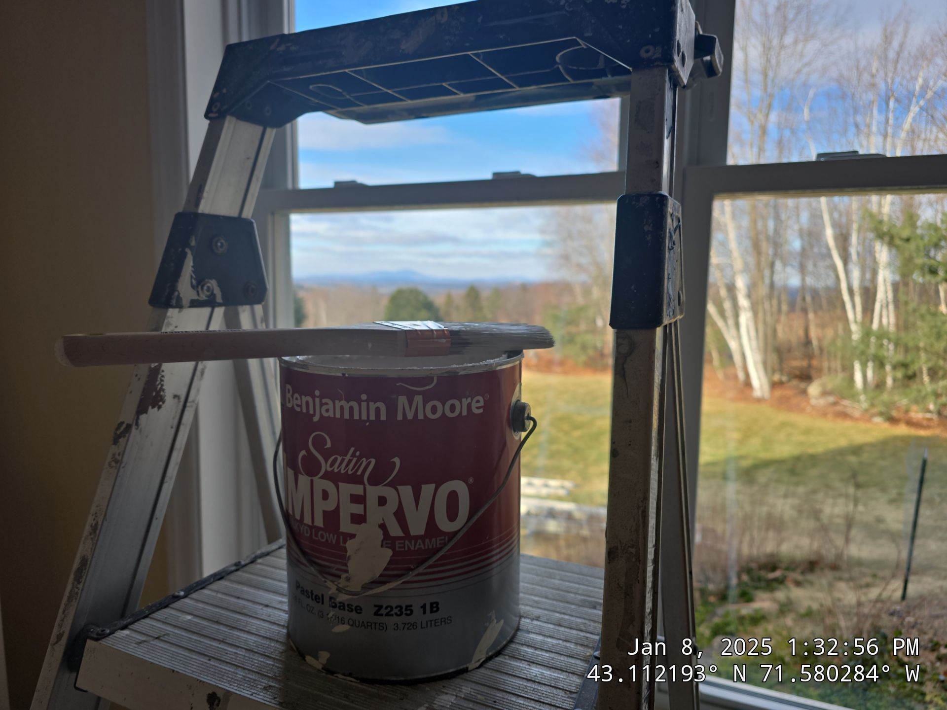 Paint can on a step ladder by a window, with a scenic outdoor view in the background