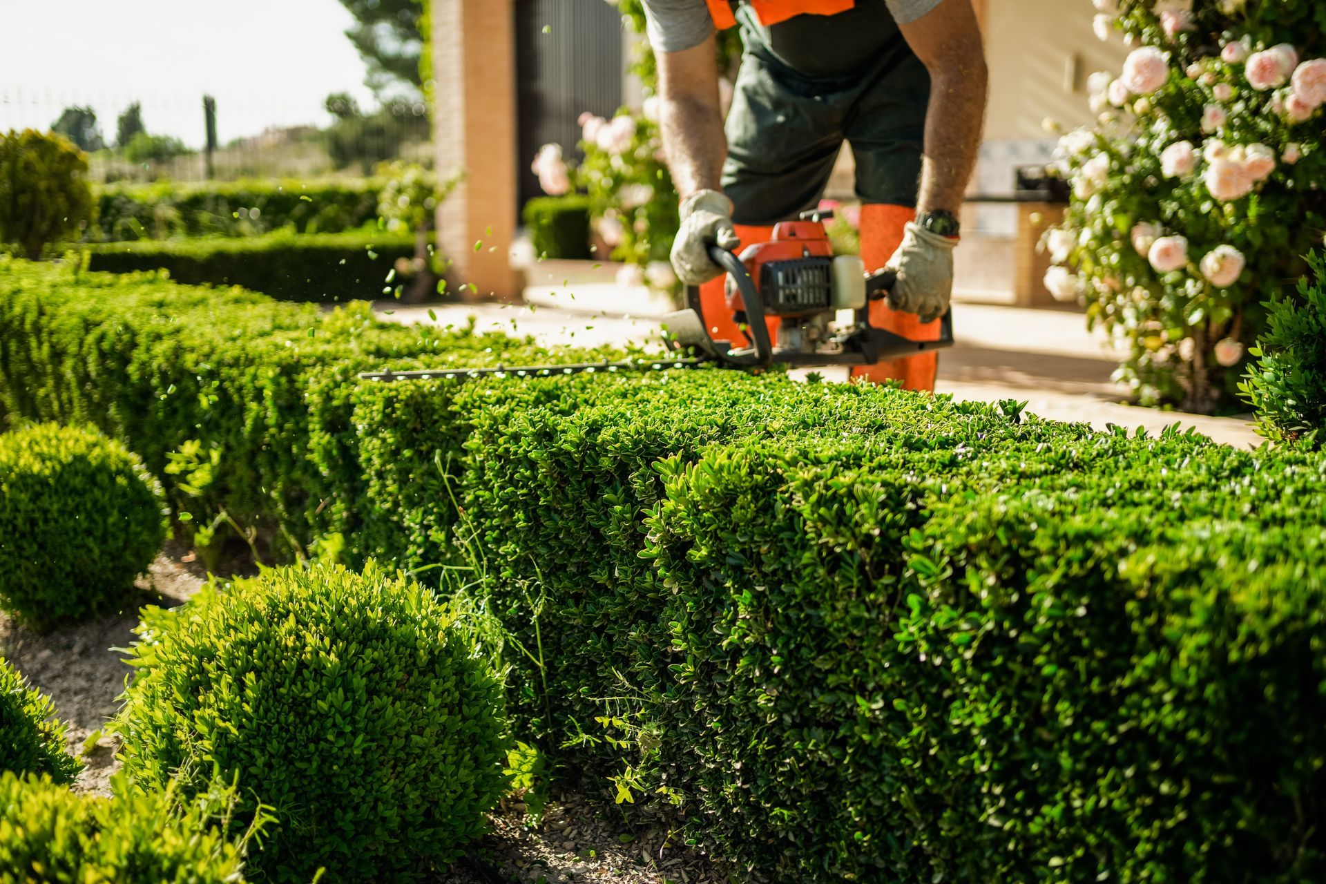 Lawn Maintenance