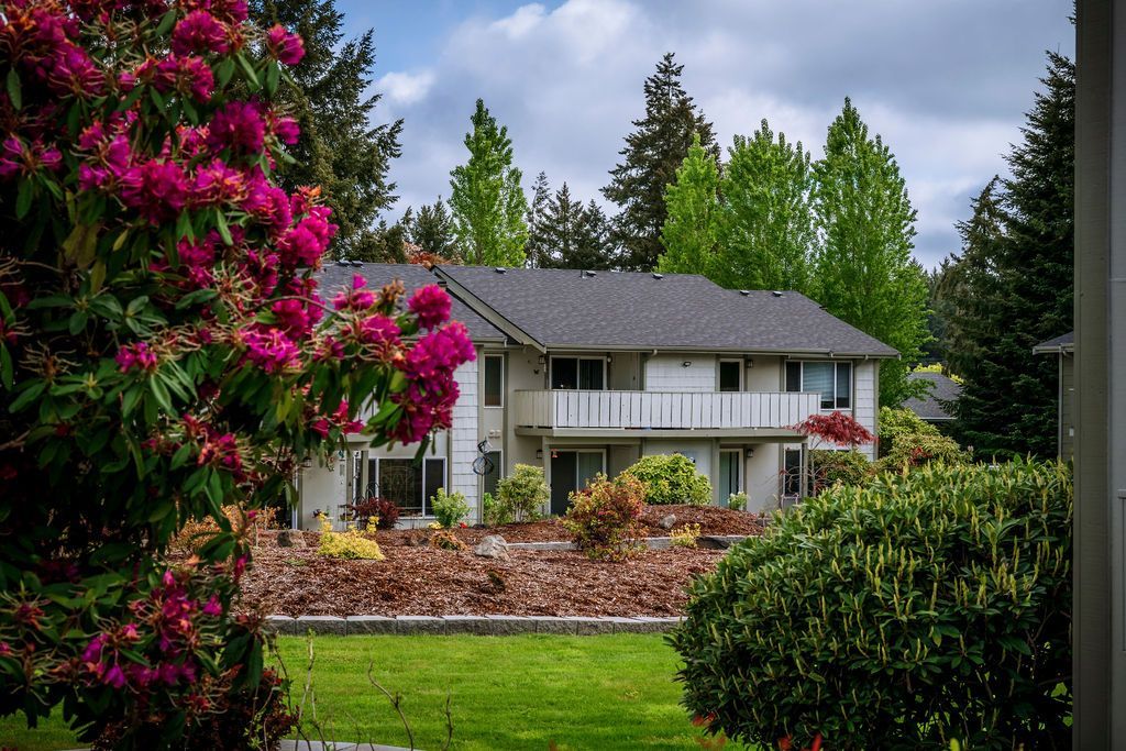 A house with purple flowers in front of it is surrounded by trees and bushes.