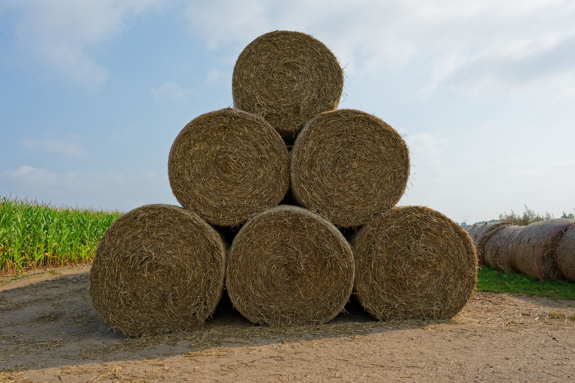Pyramid stack of round agricultural straw bales wrapped in durable bulk net wrap. Pyramid stack of round agricultural straw bales wrapped in durable bulk net wrap.