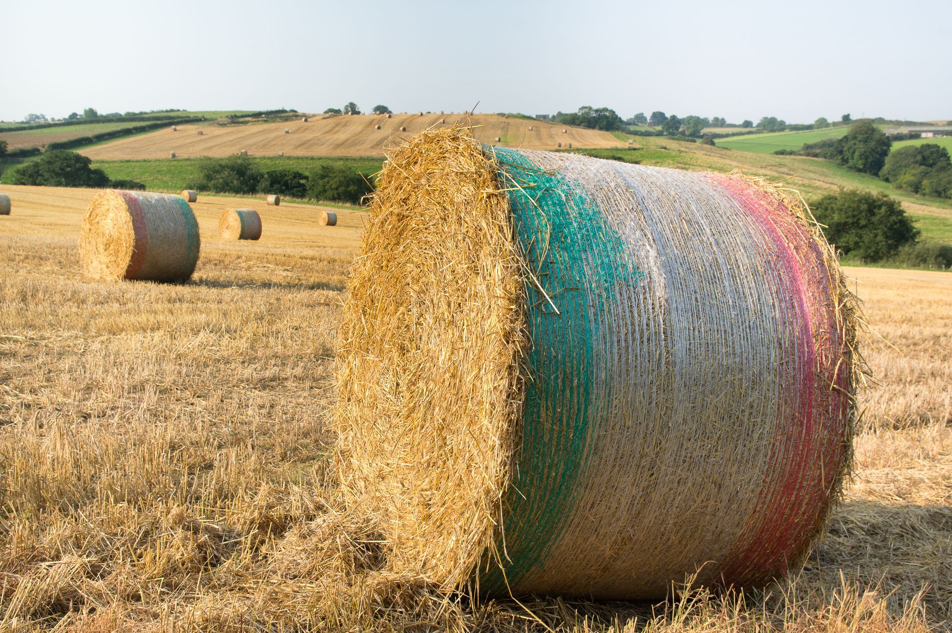 Farm field showing large straw bales with bulk net wrap.
