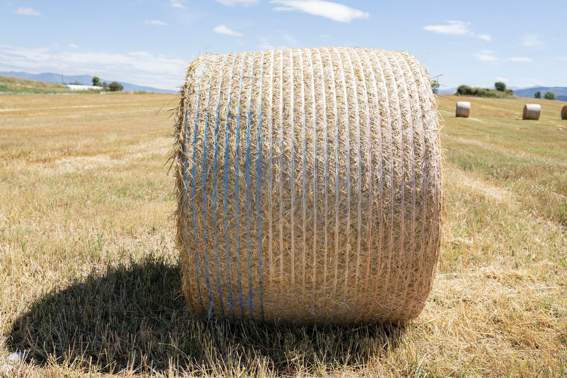 Straw was collected in a roll with bulk net wrap from Tytan International in Pittsburgh, PA, providi