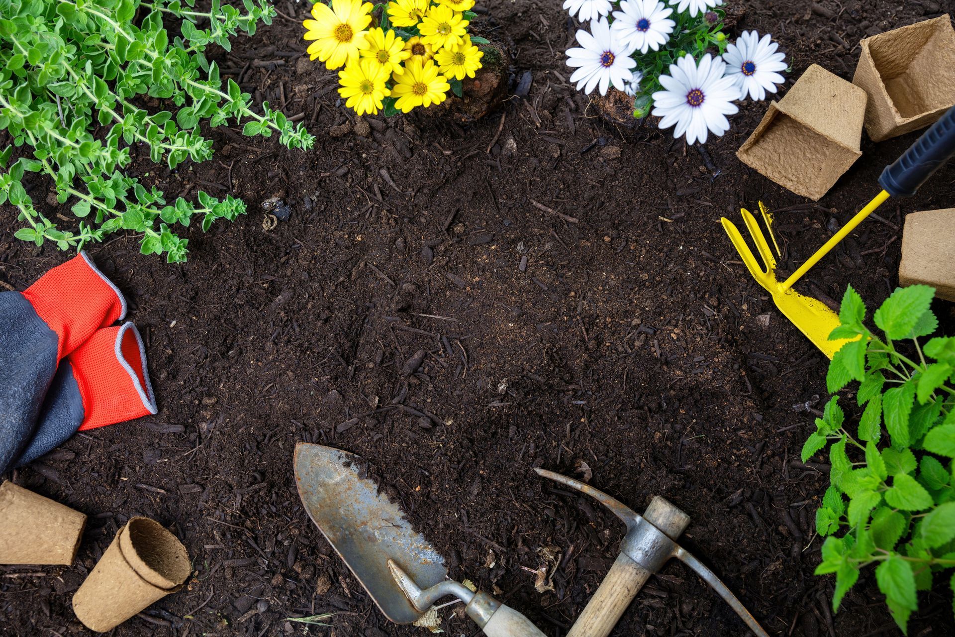 Tools and plants flat lay representing wholesale agriculture products on garden soil background.
