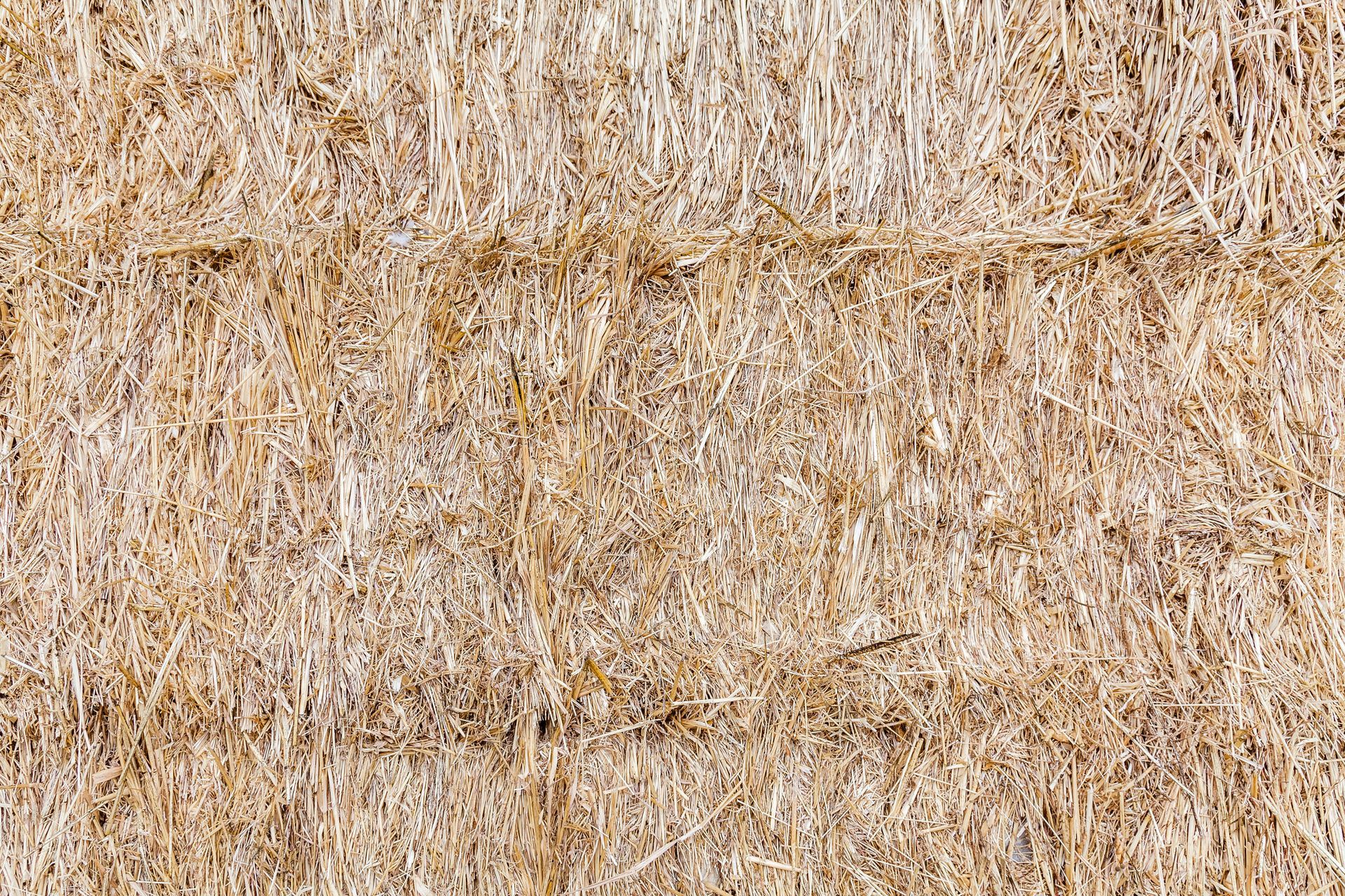 A closeup of Hay