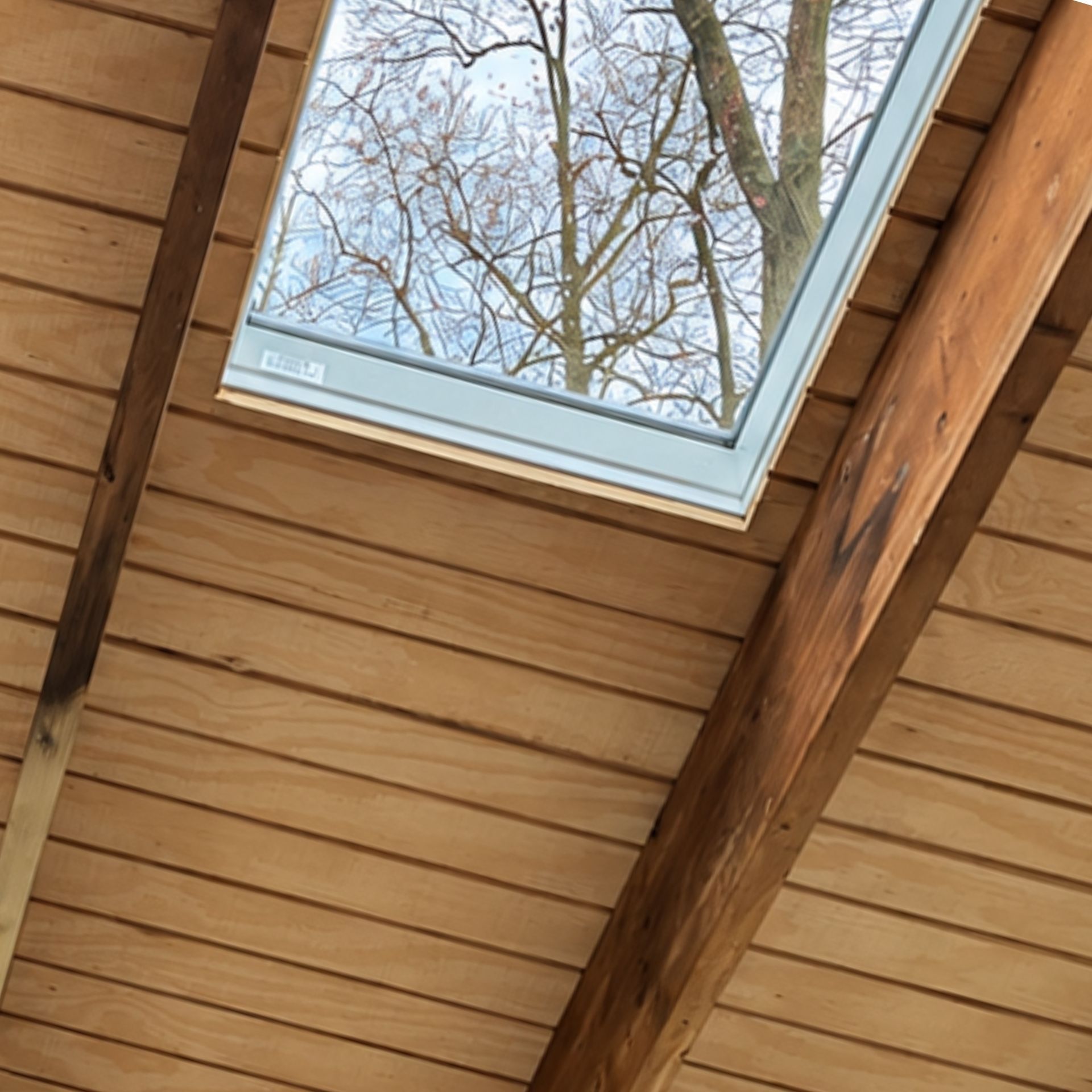 Wooden ceiling with skylight showing tree branches and blue sky