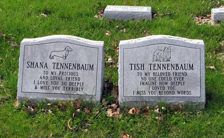 Pet Memorial Services