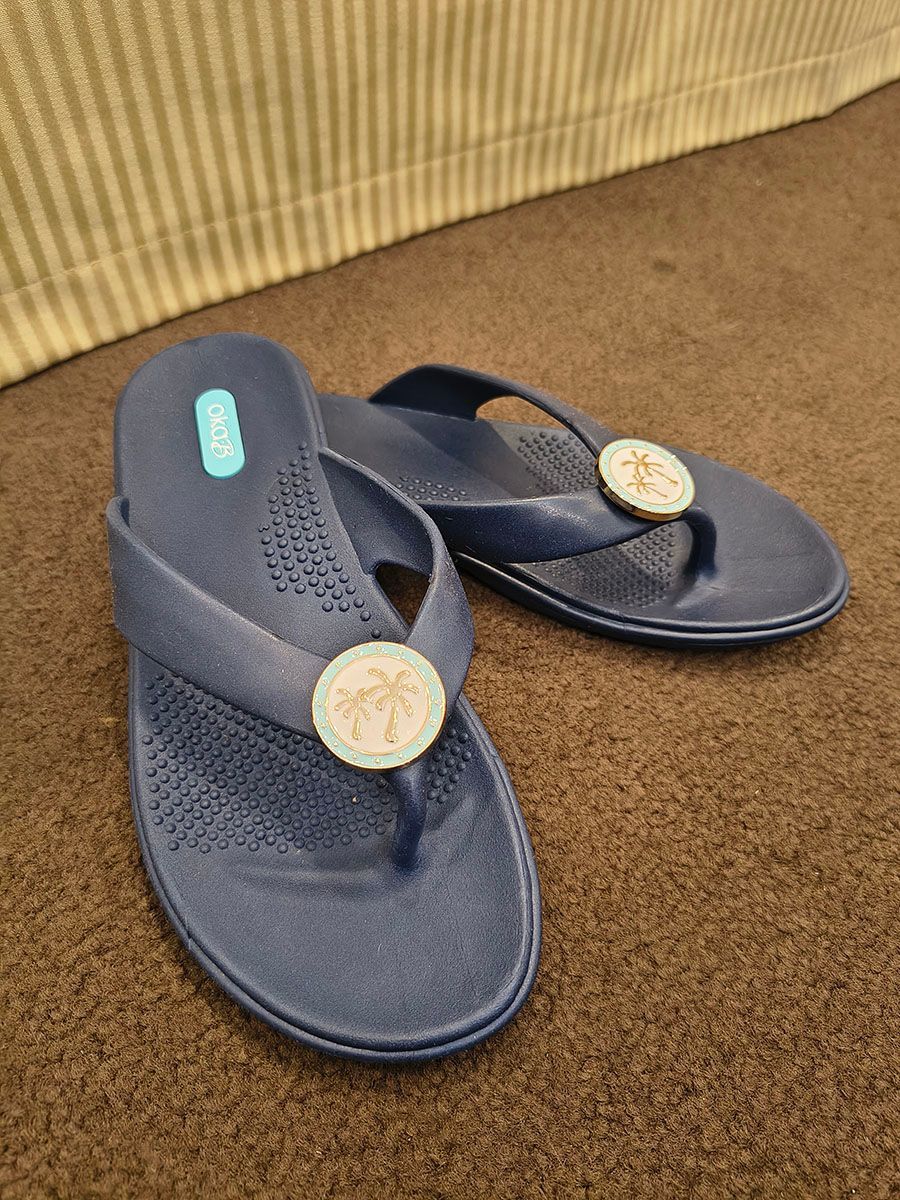 Pair of navy flip-flops with round gold accents on a tan carpeted floor