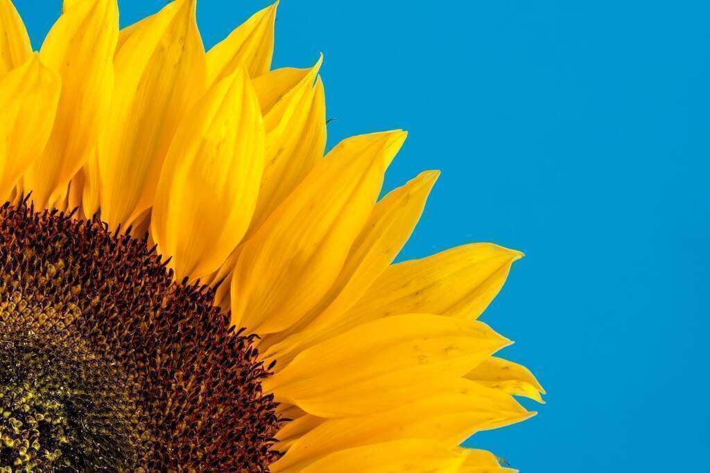 August Newsletter