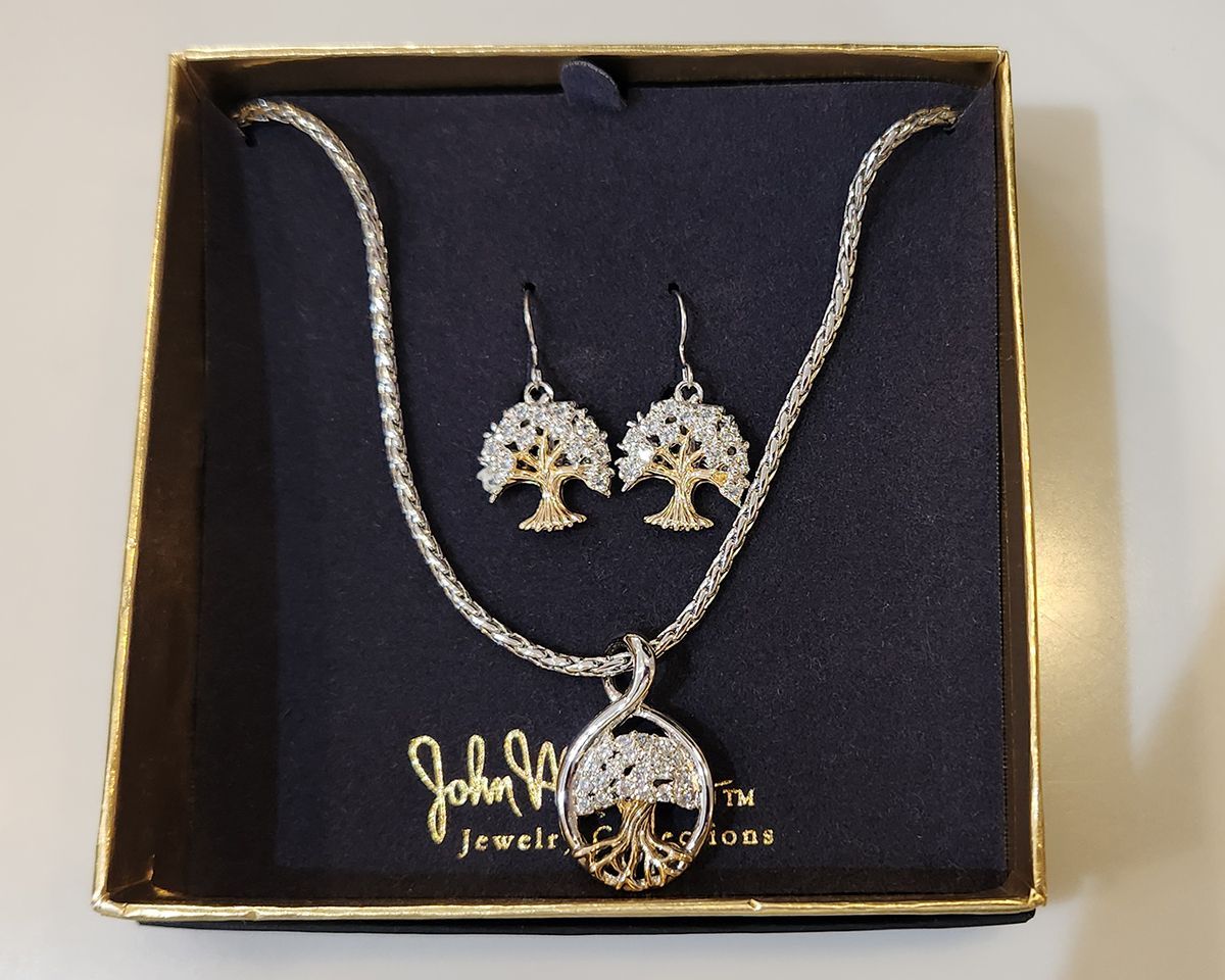 Jewelry box with a silver necklace, matching earrings, and a pendant on black velvet