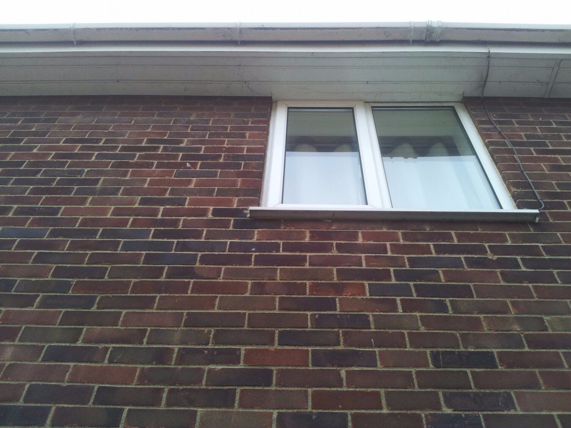 window 4