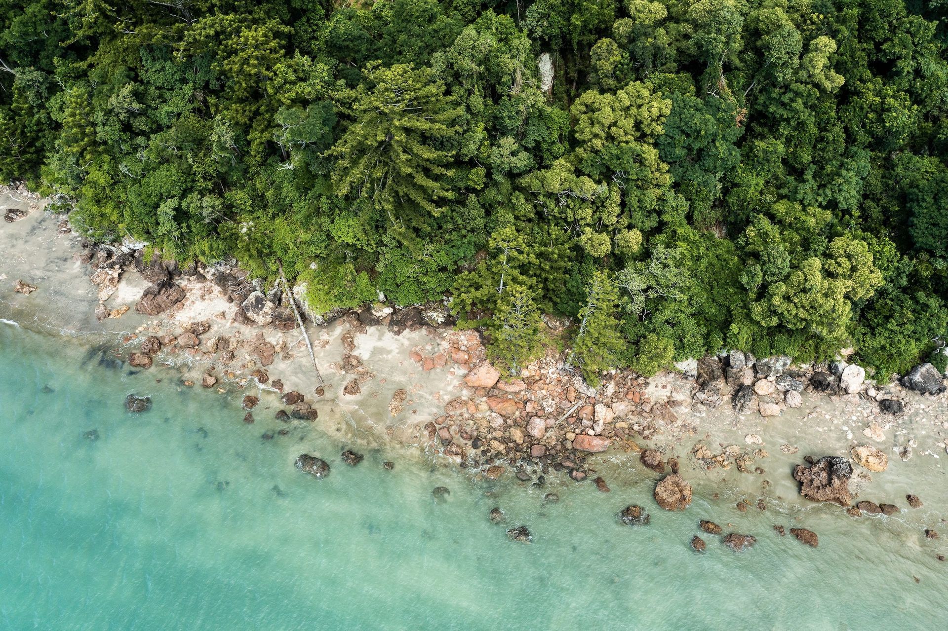 Aerial view of a secluded tropical coastline bordered by rainforest