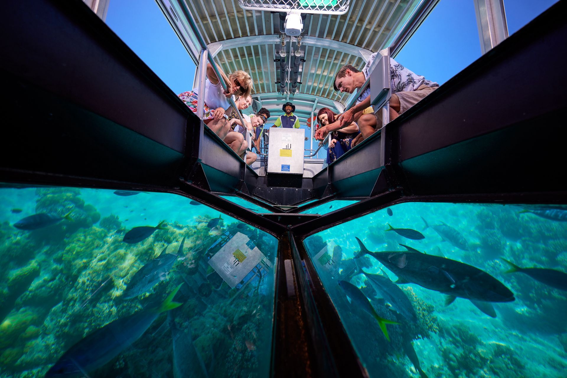 Guests viewing tropical fish and coral reef through the glass-bottom boat experience at Green Island.