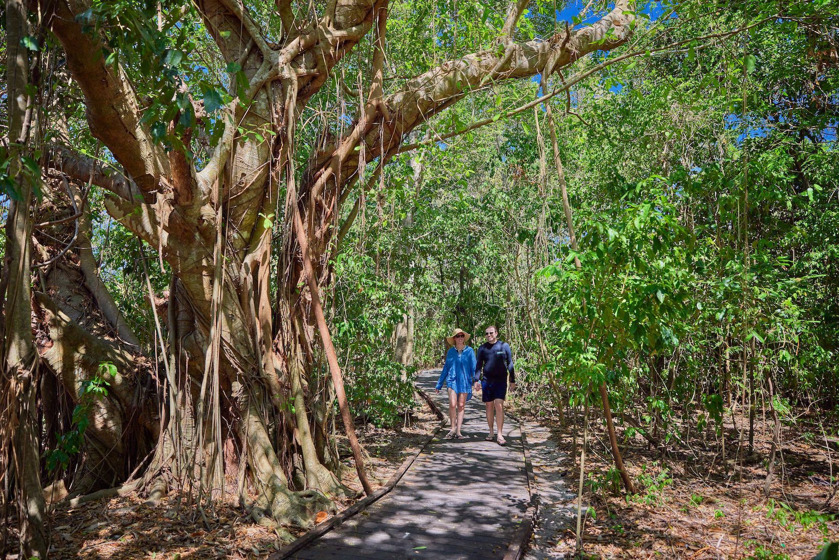 Visitors exploring the rainforest boardwalk beneath the tropical canopy on Green Island.