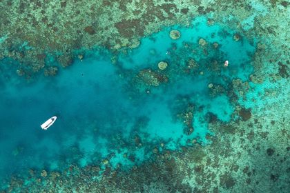 Aerial view of coral formations and turquoise waters on the Great Barrier Reef