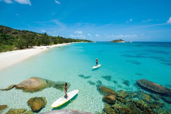 Visitors paddleboarding in crystal-clear waters beside a tropical island in the Great Barrier Reef