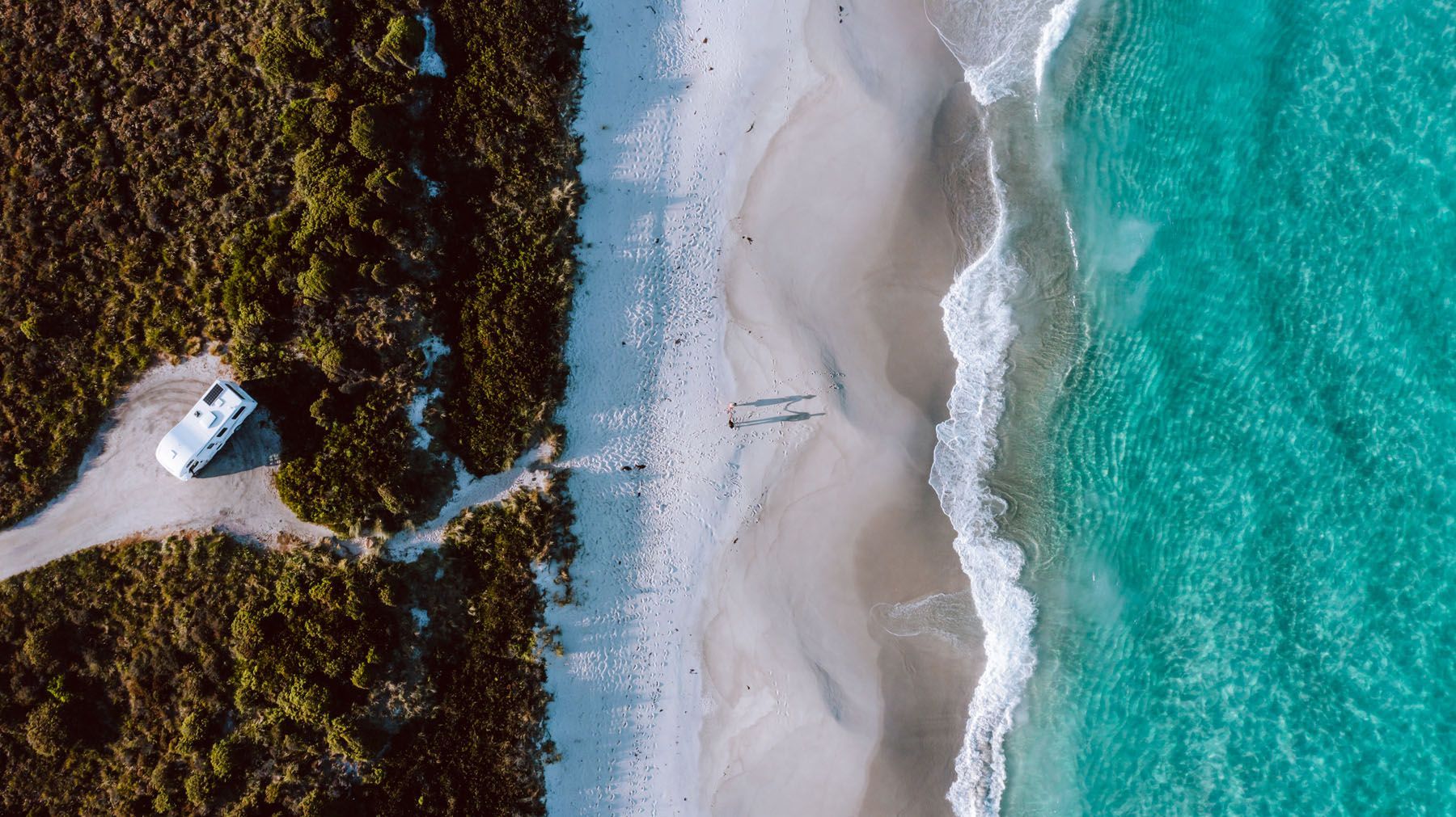 Aerial view of a vehicle travelling through palm-lined tropical landscapes in Australia.