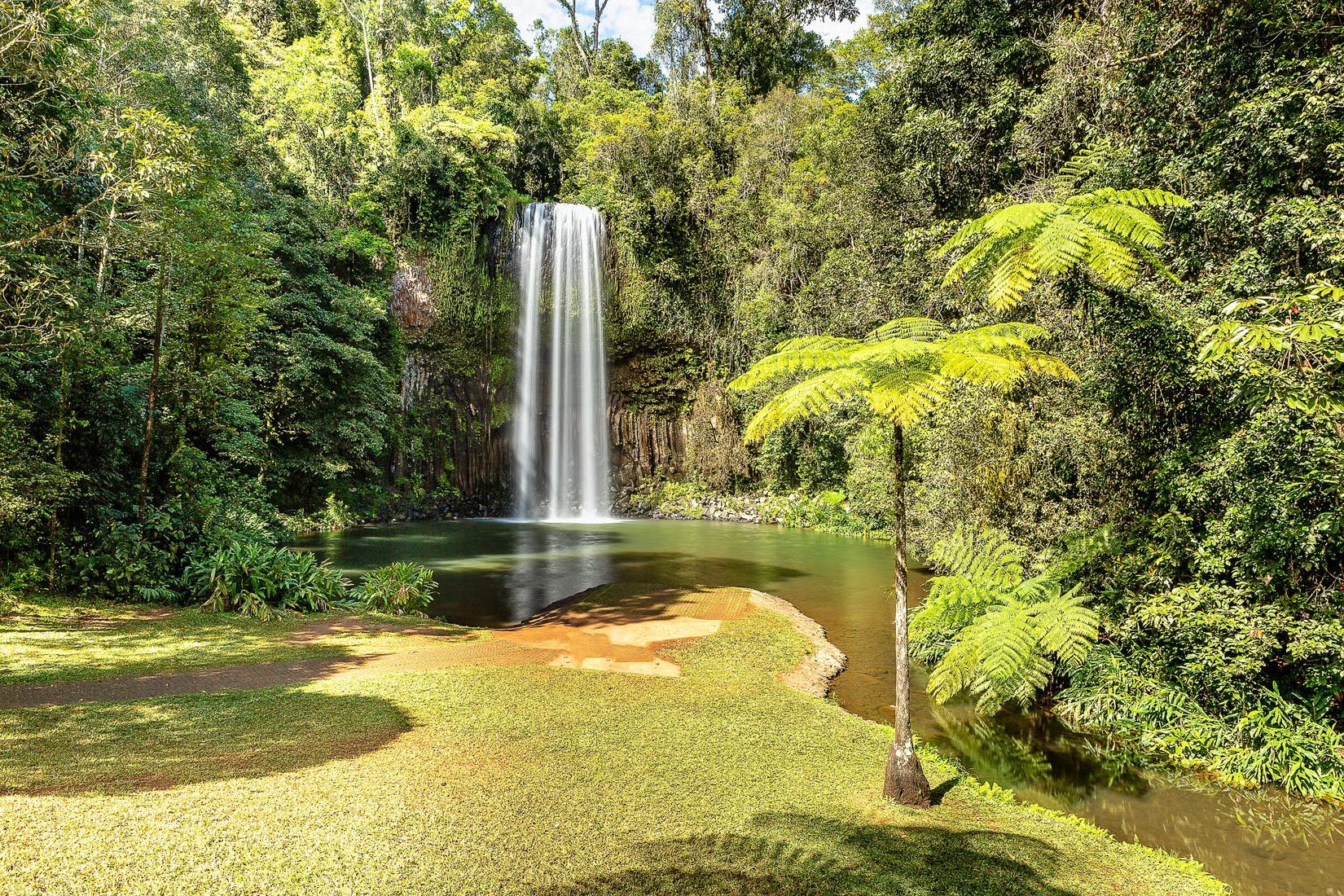 Millaa Millaa Falls surrounded by lush World Heritage rainforest in the Atherton Tablelands, Tropical North Queensland.