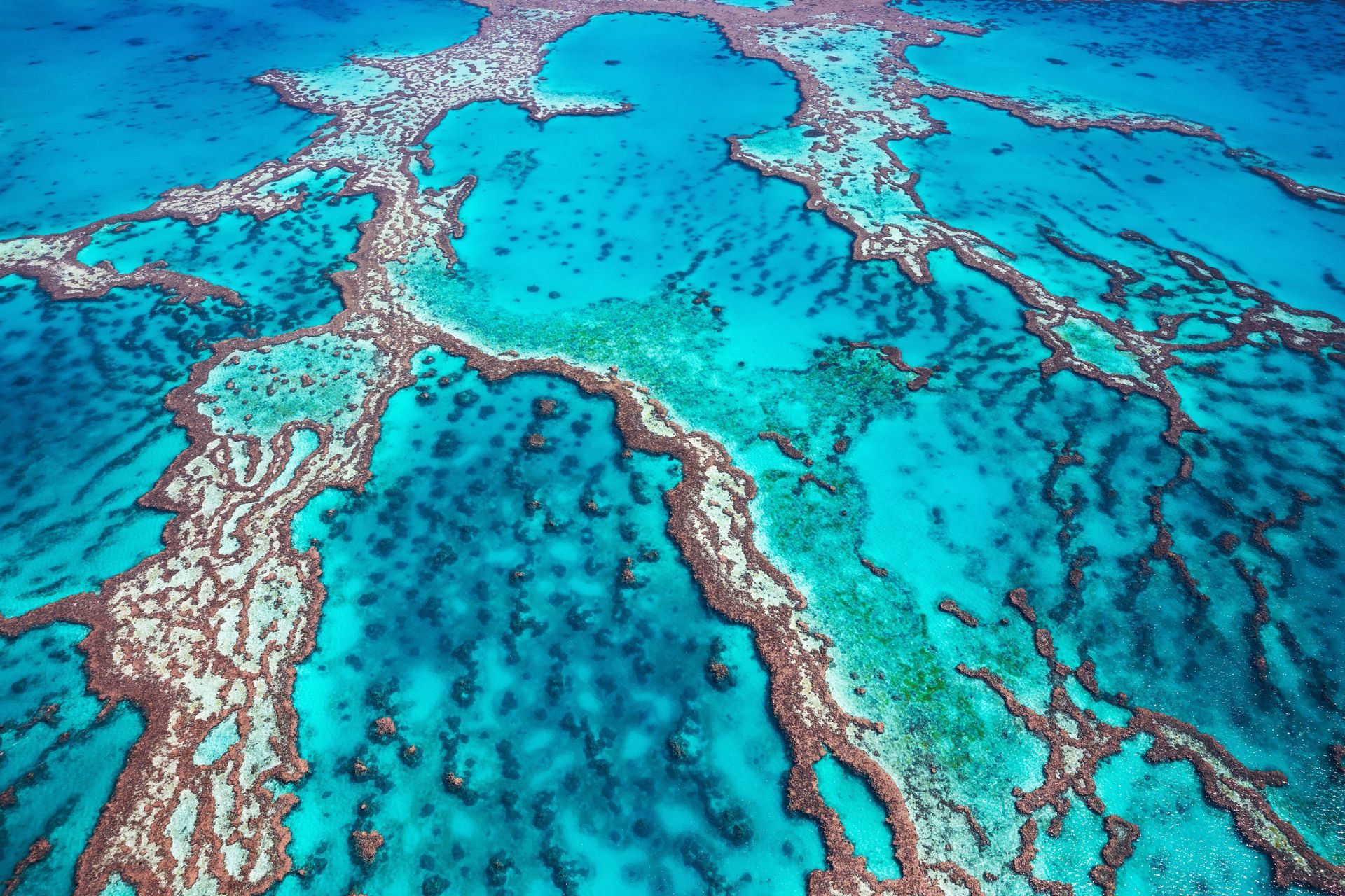 Aerial view of the Great Barrier Reef showcasing turquoise lagoons, coral formations and tropical island environments in Queensland.