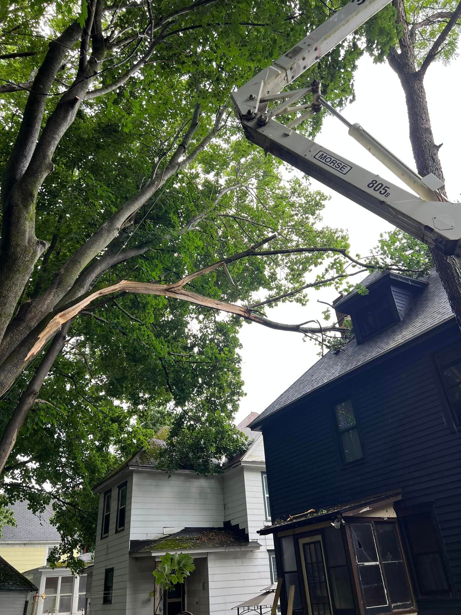 A crane is cutting a tree in front of a house.