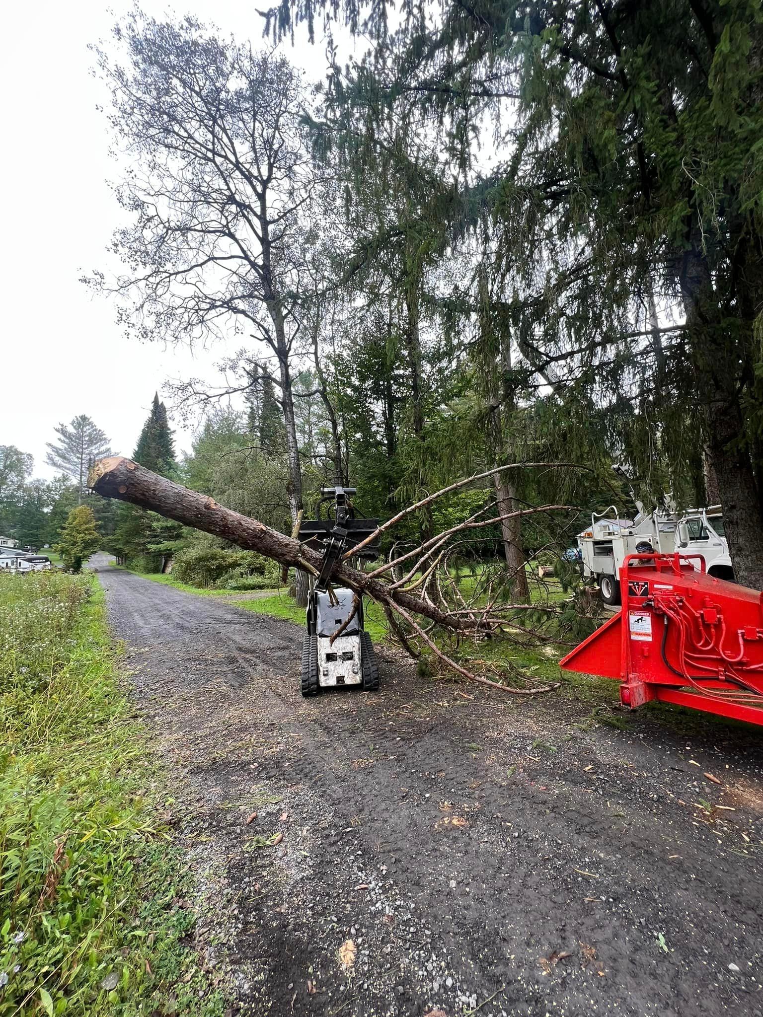 A tree is laying on the side of a road next to a tree chipper.